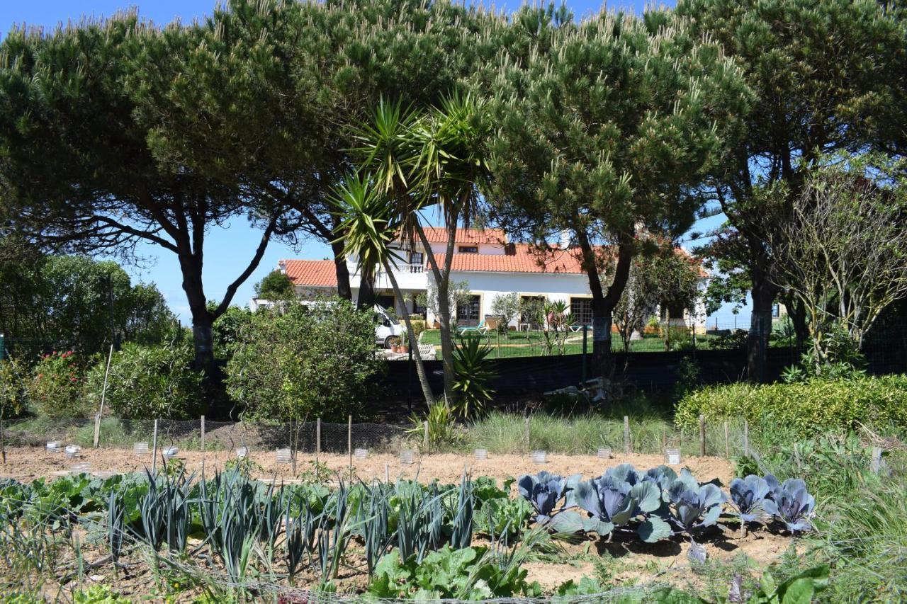 Casa Jardim Peniche Acomodação com café da manhã São Bernardino Exterior foto