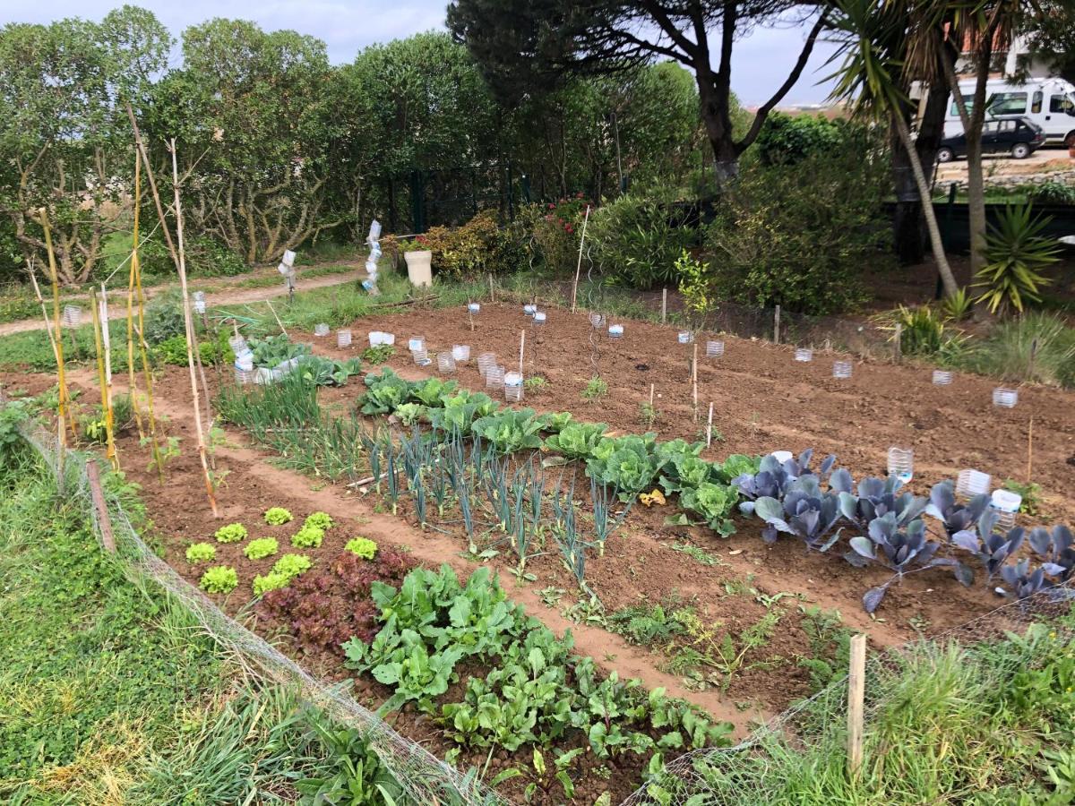 Casa Jardim Peniche Acomodação com café da manhã São Bernardino Exterior foto