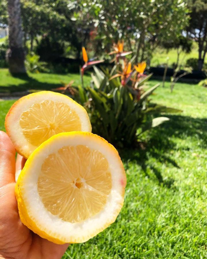 Casa Jardim Peniche Acomodação com café da manhã São Bernardino Exterior foto